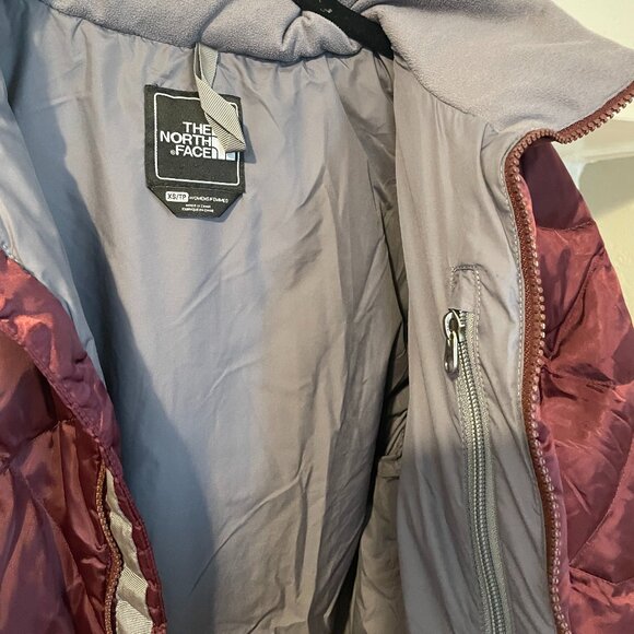The North Face Burgundy 550 ALIS Full-Zip Goose Down Insulated Nylon Puffer Jack - Picture 9 of 13